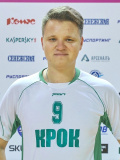 Владимир Городецкий